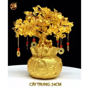 0366c09f4cb97f463b9952594d709ee2