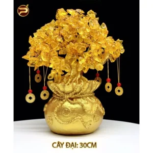 9733ef43fd851694bfd1f8d716feb484