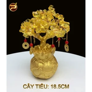 fb259f2d68296caea2f1fab9a9f44a61