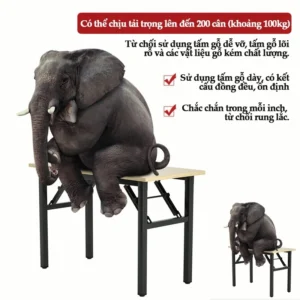 vn-11134207-7r98o-lqx75kclzyysbd