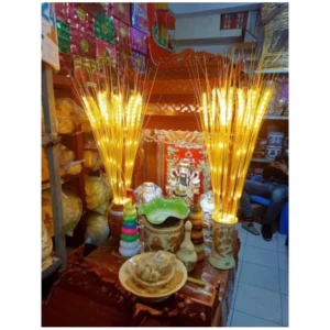 vn-11134207-7r98o-ly7p0kdzk8y5c8