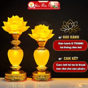 vn-11134207-7ra0g-ma9j4rxw9y7f1e