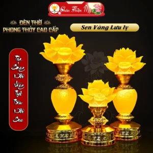 vn-11134207-7ra0g-ma9j4rxwbcrv66