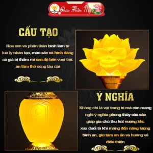 vn-11134207-7ra0g-ma9j4rxwo06q52